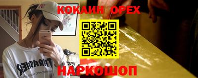 индика Кингисепп