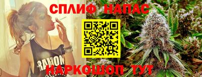 индика Кингисепп