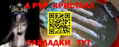 спиды Кимры