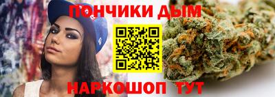 индика Кингисепп
