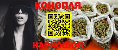 индика Кингисепп