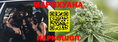 индика Кингисепп