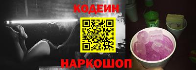 индика Кингисепп