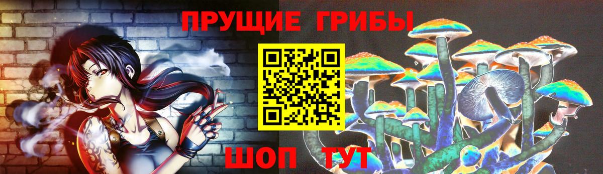 Псилоцибиновые грибы GOLDEN TEACHER Шатура